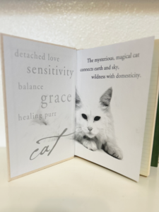 Conversations with Cat endpapers