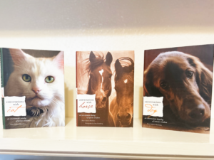 Conversations with Cat, Horse and Dog