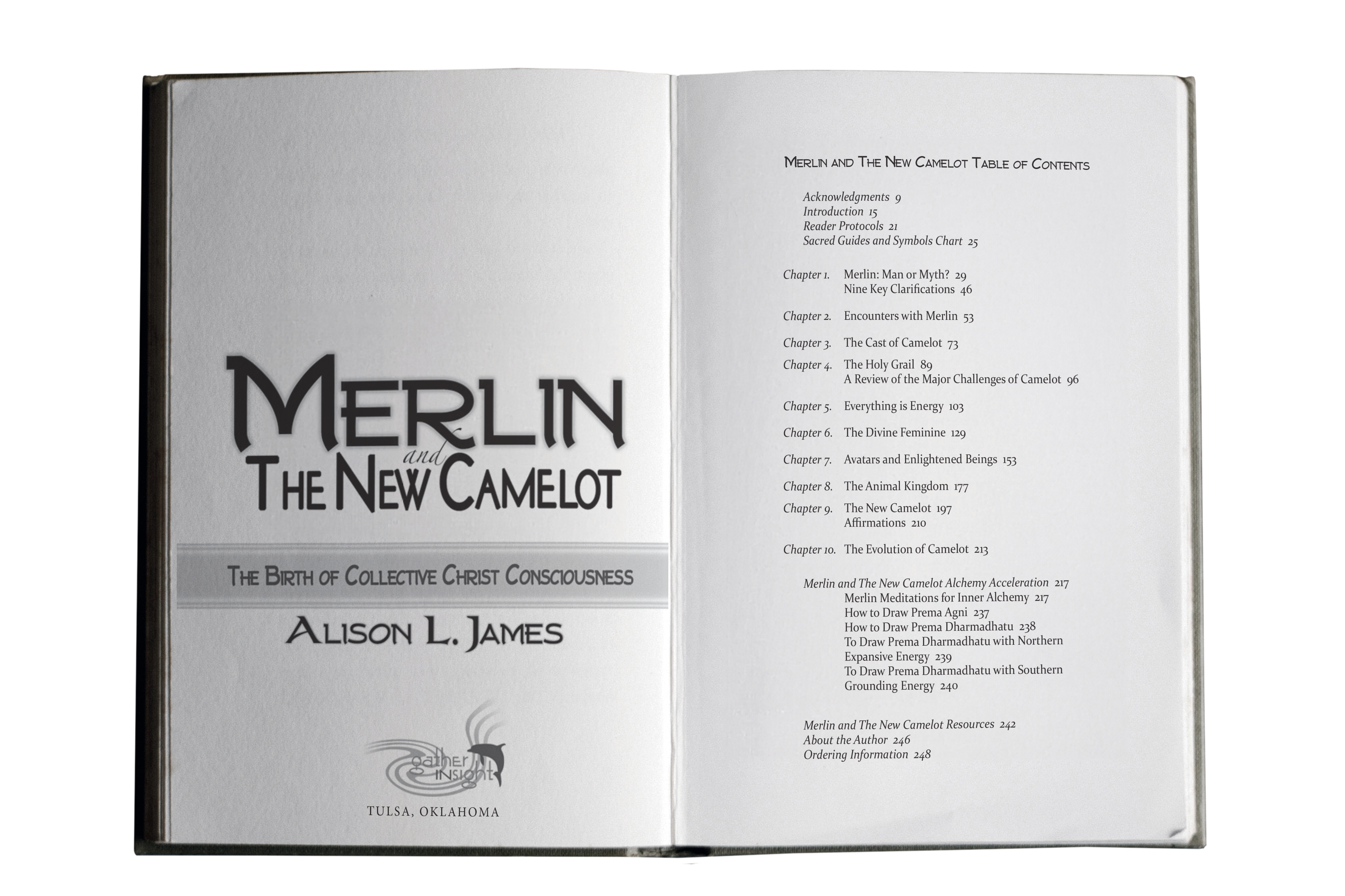 Merlin and the New Camelot table of contents